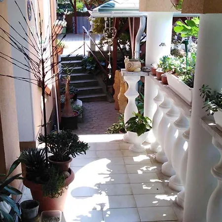 In - Balaton 18892 Apartamento Hévíz