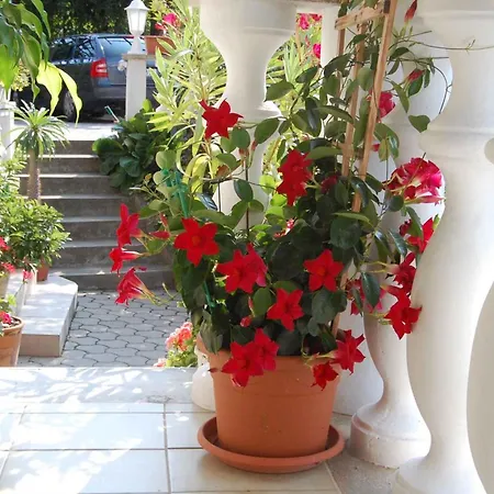 Apartment In - Balaton 18892 *