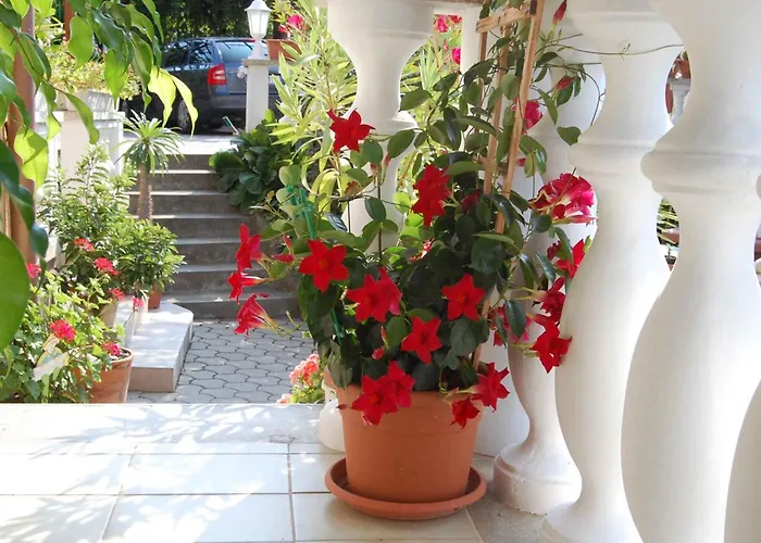 Apartamento In - Balaton 18892 *